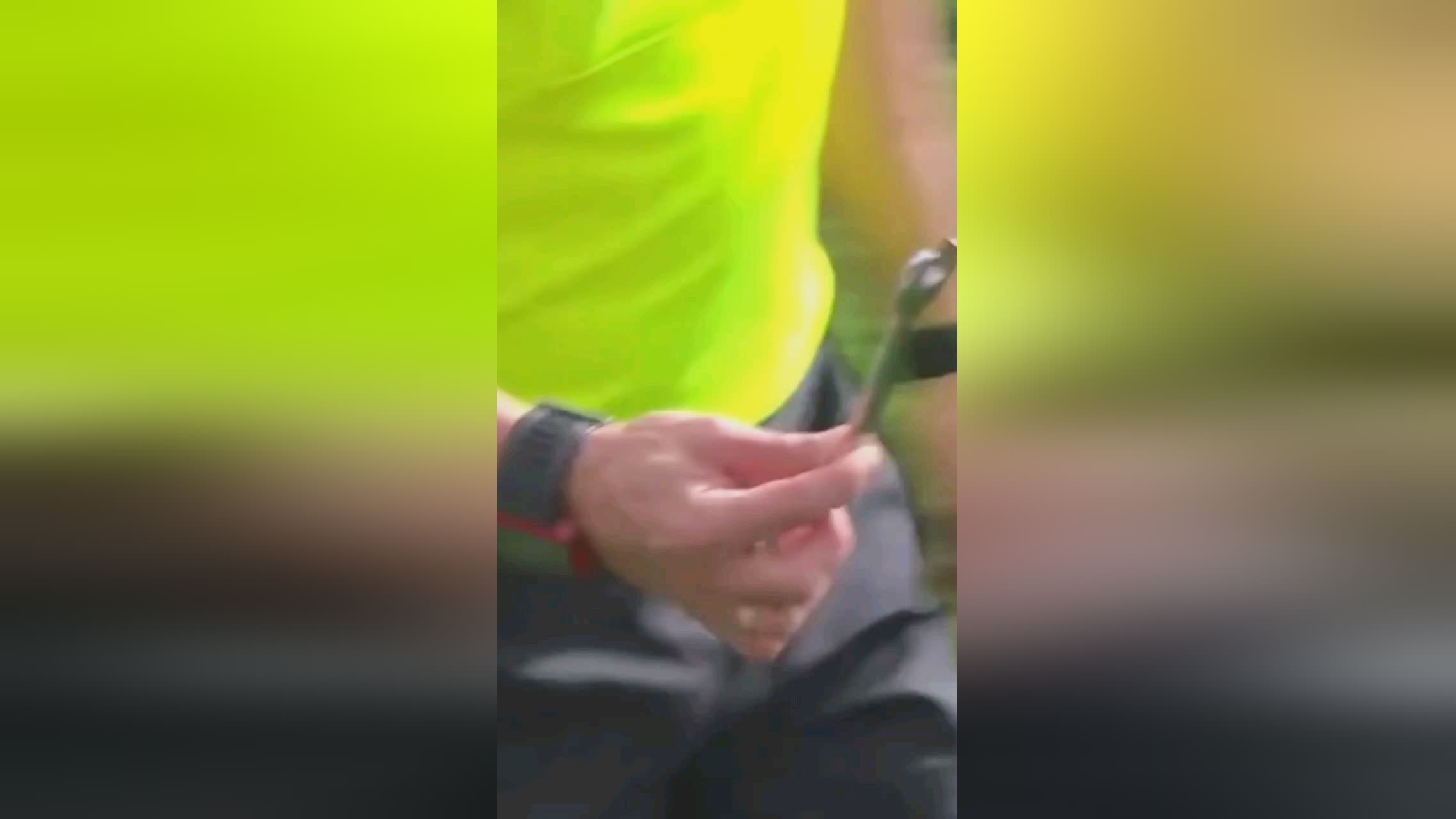 套精准